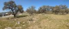 Residential Land - 11