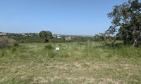 Residential Land