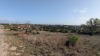 Residential Land - 10