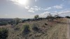 Residential Land - 15