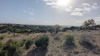 Residential Land - 16
