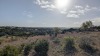 Residential Land - 17