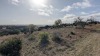 Residential Land - 19