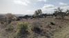 Residential Land - 20