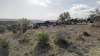 Residential Land - 21