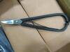 Shears (Valley Stream, NY) - 5