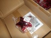 Party Goods (Kearny, NJ) - 5