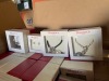 Imitation Jewelry (Guaynabo, PR) - 9