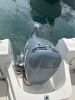 2000 23' Bayliner Trophy Walk-Around (San Diego, CA) - 2024565800007901-001-0000 - 9
