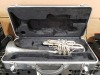 "EVA" Trumpet - 17