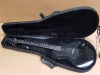 "Esteban" Electric Guitar, Amps, & more - 10