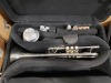 "Venus" Trumpet - 5