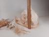 Seashells - 3
