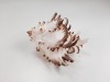 Seashells - 8