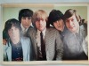 (1) Ctn Decor - 8