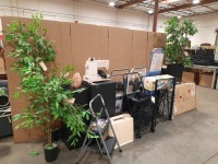 Shopping Cart, Decorative Plants, & More