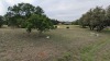 Residential Land - 3
