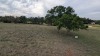 Residential Land - 4