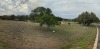 Residential Land - 5