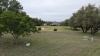 Residential Land - 8