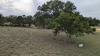 Residential Land - 9