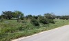 Residential Land