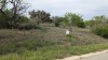Residential Land - 4