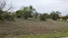 Residential Land - 5