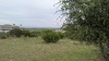 Residential Land - 2