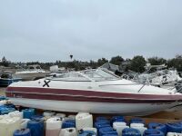 1993 19' Wellcraft (Spring Valley, CA) - 2024250100066601-001-0000