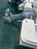 2000 23' Bayliner Trophy Walk-Around (San Diego, CA) - 2024565800007901-001-0000 - 10
