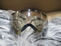 Helmet Visor (Brick Mt/Valley Stream, NY)