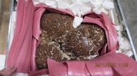 Decorative Stone Pieces (Labeling Svcs/Puyallup, WA)