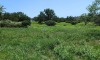 Residential Land