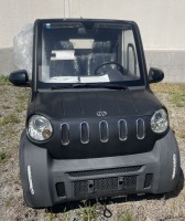 Electric Vehicles (Laney & Duke/Jacksonville, FL) - EXPORT ONLY