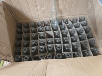 Glass Bottle (Marine Trk/Los Angeles, CA)