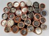 (31) Rolls of Quarters - 2