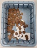 U.S. Coins - 22