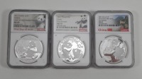 (3) China Silver Coins