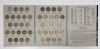 U.S. Mint & Commemorative Coins - 13