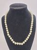 Pearl-Like Jewelry - 2