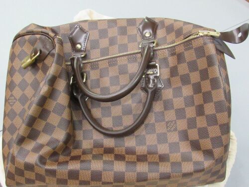 Louis Vuitton Purse (Laredo, TX)