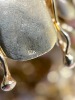 Necklaces, Bracelets, Pendants, Earrings (Pompano Beach, FL) - 10
