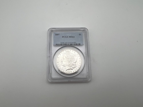 Morgan Silver Dollars (Pompano Beach, FL)