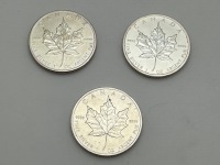 Silver Coins (Pompano Beach, FL)