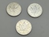 Silver Coins (Pompano Beach, FL)