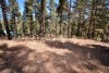 Residential Land, Cloud Country #2, Lot 14 Block 7, Mayhill, NM - 5