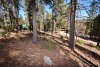 Residential Land, Cloud Country #2, Lot 14 Block 7, Mayhill, NM - 7