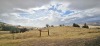 Agricultural Land - 2