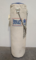 Everlast Punching Bag